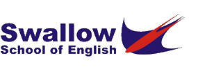 Jazyková škola | Swallow School of English